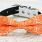 Orange Floral dog bow tie, Orange wedding dog collar, Spring wedding , Wedding dog collar