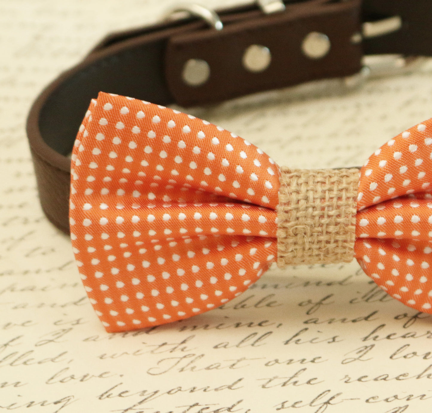 Orange Dog Bow tie attached to collar, Burlap wedding, pet wedding accessory , Wedding dog collar