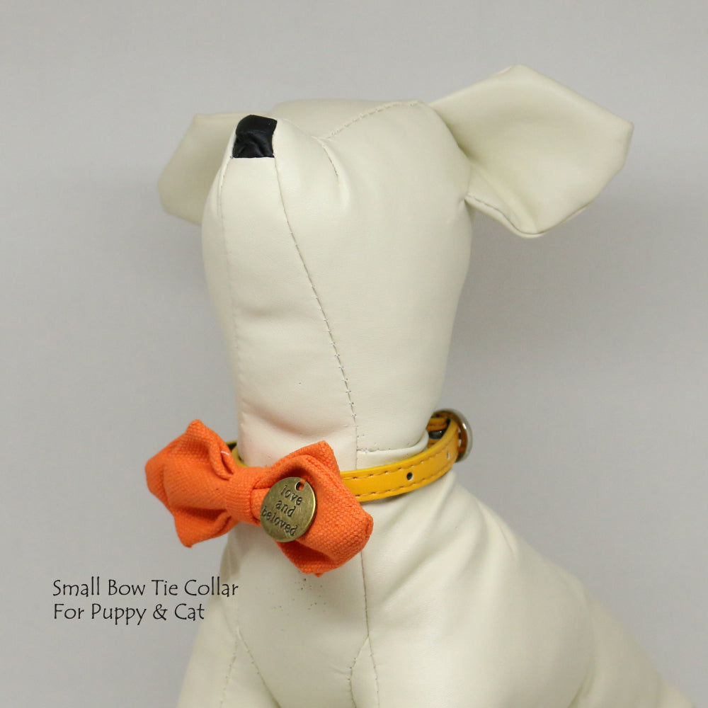 Copy of Carrot bow, love and beloved, Small bow tie collar, Puppy Collar, Cat collar, Cat bow tie collar , Wedding dog collar