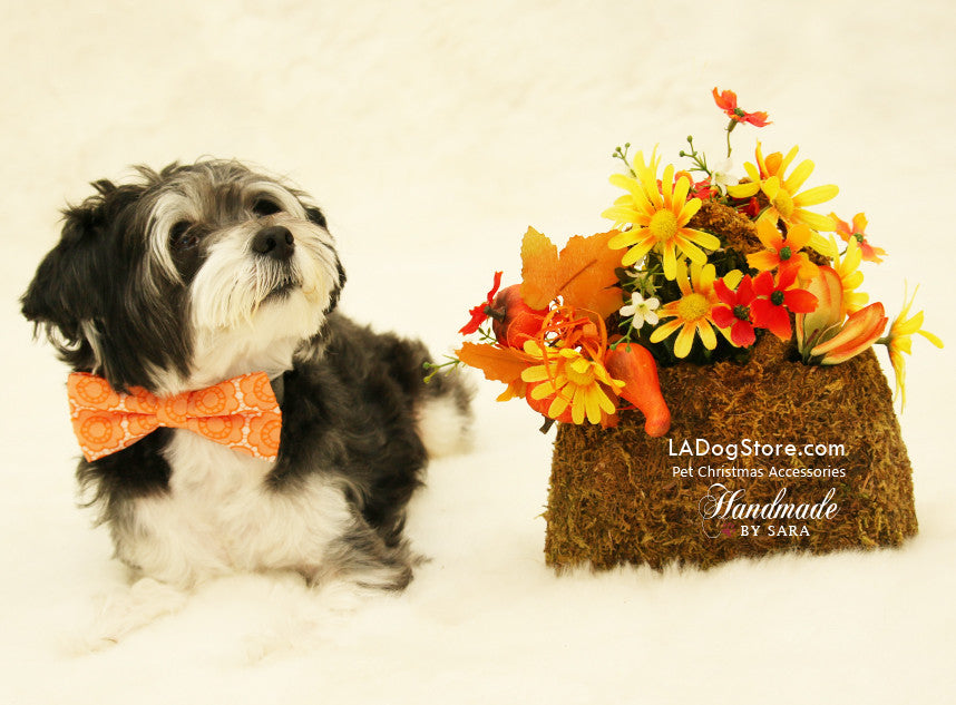 Orange dog Bow tie collar, Floral dog bow tie, Pet fall Accessory, Dog birthday gift , Wedding dog collar