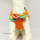 Puppy harness with bow tie, Dreamly Rainbow bow, Love and Beloved, Mesh harness, Lightweight, Breathable, Comfortable,Washable harness , Wedding dog collar
