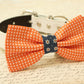 Orange Dog Bow Tie attached to dog collar,  Fall wedding , Wedding dog collar