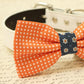 Orange Dog Bow Tie attached to dog collar,  Fall wedding , Wedding dog collar
