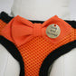 Orange Dog Harness with bow and a black leash, charm, Love and Beloved, Birthday Gift , Wedding dog collar