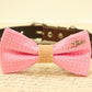 Pink Dog Bow Tie attached to brown collar, Bow with charm, Burlap, Love , Wedding dog collar