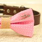 Pink Dog Bow Tie attached to brown collar, Bow with charm, Burlap, Love , Wedding dog collar
