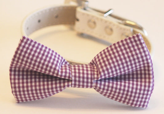 Purple Dog Bow Tie with collar, Cute Dog Bow tie, Purple Wedding accessory , Wedding dog collar