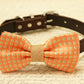 Peach dog bow tie attached to collar, Pet Wedding, Dog lovers , Wedding dog collar