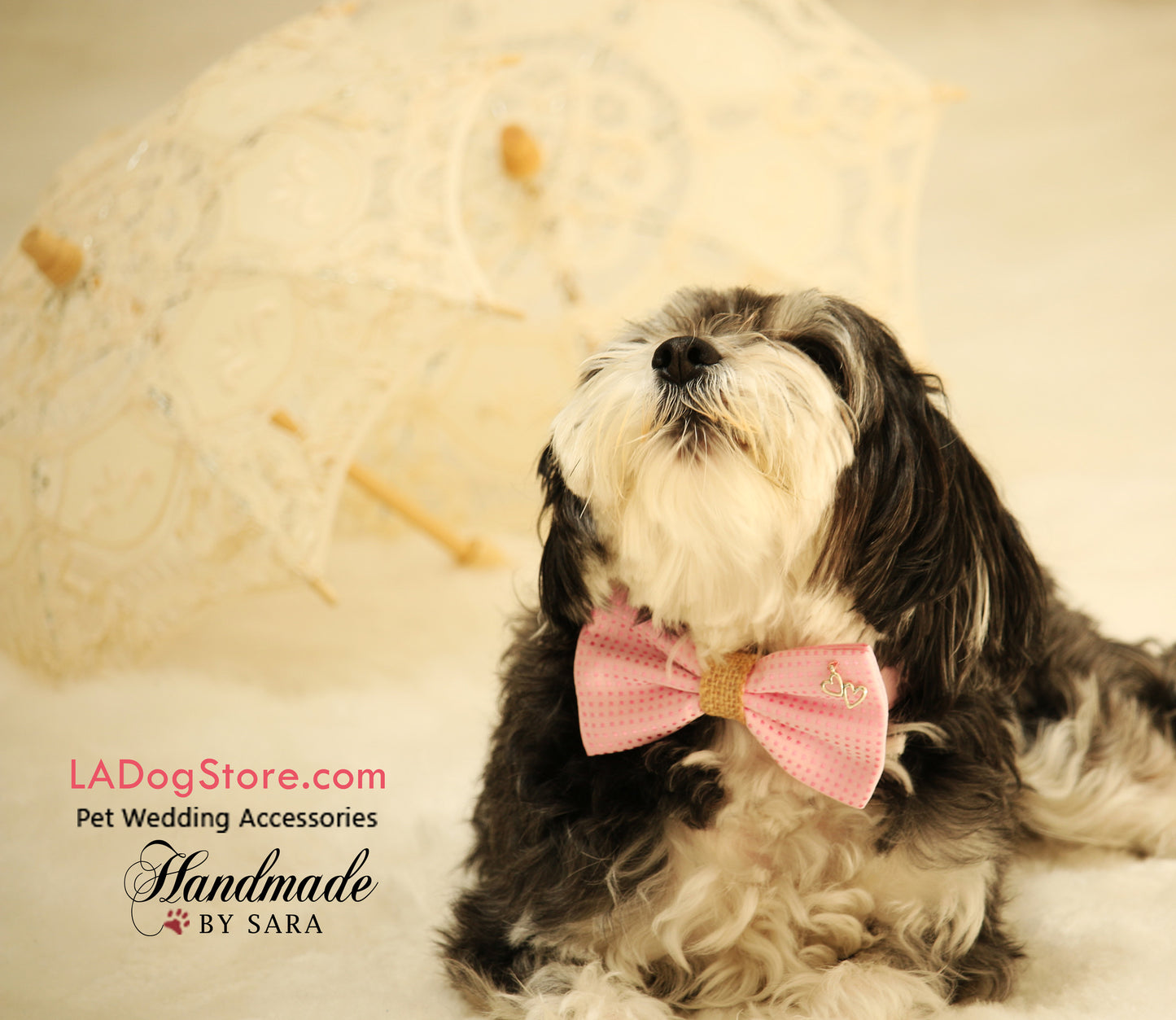 Pink Polka dots Bow Tie attached to collar, Charm, Burlap, Dog Birthday gift , Wedding dog collar