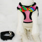Pink Dog Harness with colorful bow and a black leash, colorful bow tie , Wedding dog collar