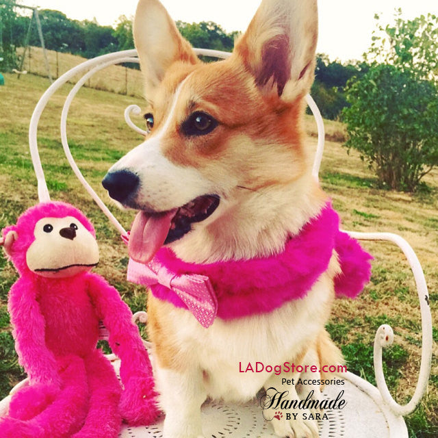 Pink Dog Shawl, Pet wedding accessory, Dog lovers, Dog Birthday Gift , Wedding dog collar