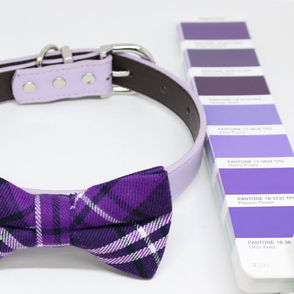 Ultra Violet dog bow tie collar, Color of the Year PANTONE 18-3838, Pet wedding, Gifts , Wedding dog collar