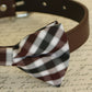 Plaid Brown dog bow tie attached to collar, Pet wedding, dog birthday gift , Wedding dog collar