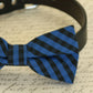 Plaid Royal blue dog bow tie collar, Pet Royal blue wedding accessory , Wedding dog collar