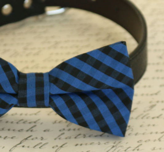 Plaid Royal blue dog bow tie collar, Pet Royal blue wedding accessory , Wedding dog collar