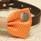 Orange Dog Burlap Bow tie attached to dog collar, Country Rustic wedding , Wedding dog collar