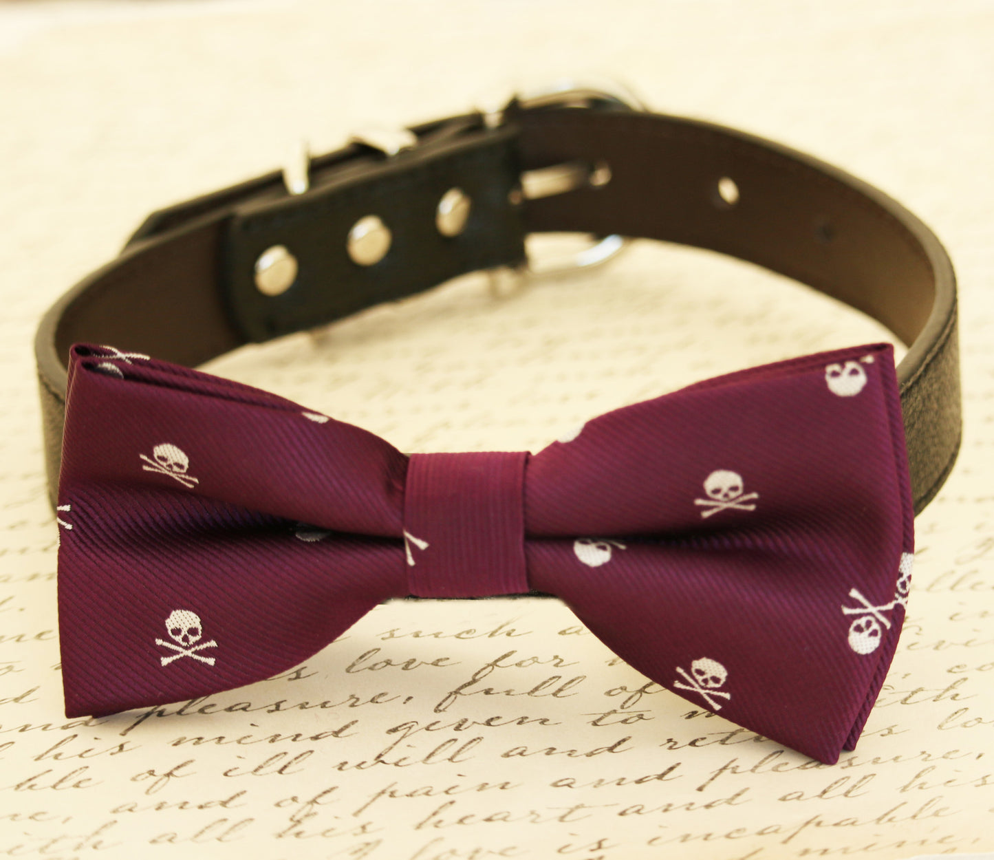 Purple dog bow tie attached to dog collar, Skull, wedding accessory, Halloween , Wedding dog collar