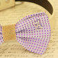 Purple dog bow tie, Bow tie attached to dog collar, Pet wedding accessory , Wedding dog collar