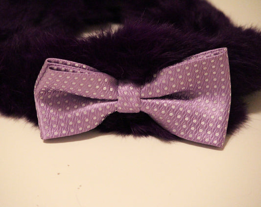 Purple Dog Shawl, Purple Shaw with Cute Purple Bow, Cute Chic Dog Accessory, Dog Scarves , Wedding dog collar