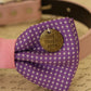 Purple Dog Bow Tie attached to collar, Pet wedding , Wedding dog collar