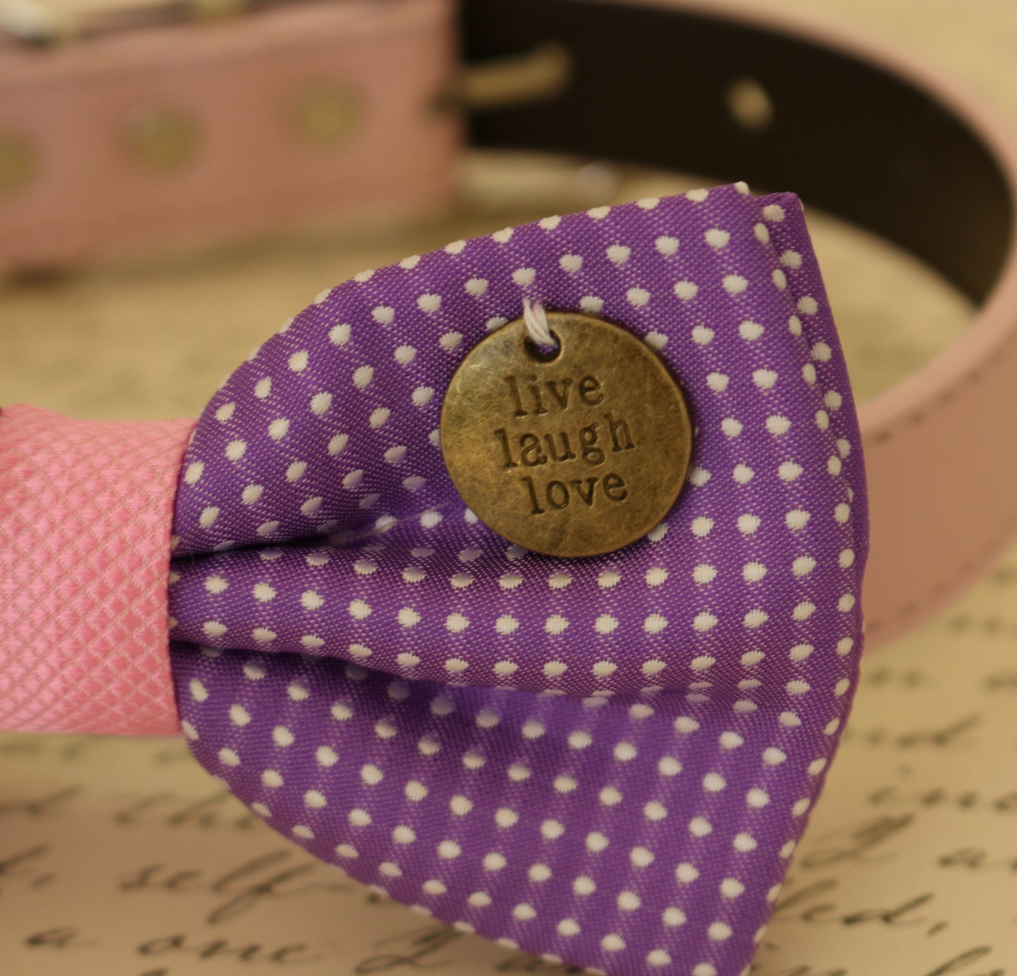 Purple Dog Bow Tie attached to collar, Pet wedding , Wedding dog collar