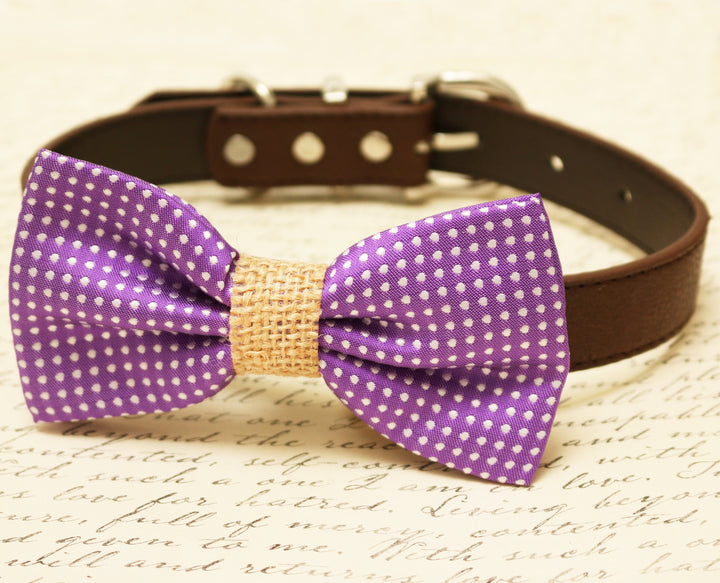 Purple Dog Bow Tie attached to collar, Country Rustic wedding, Burlap , Wedding dog collar