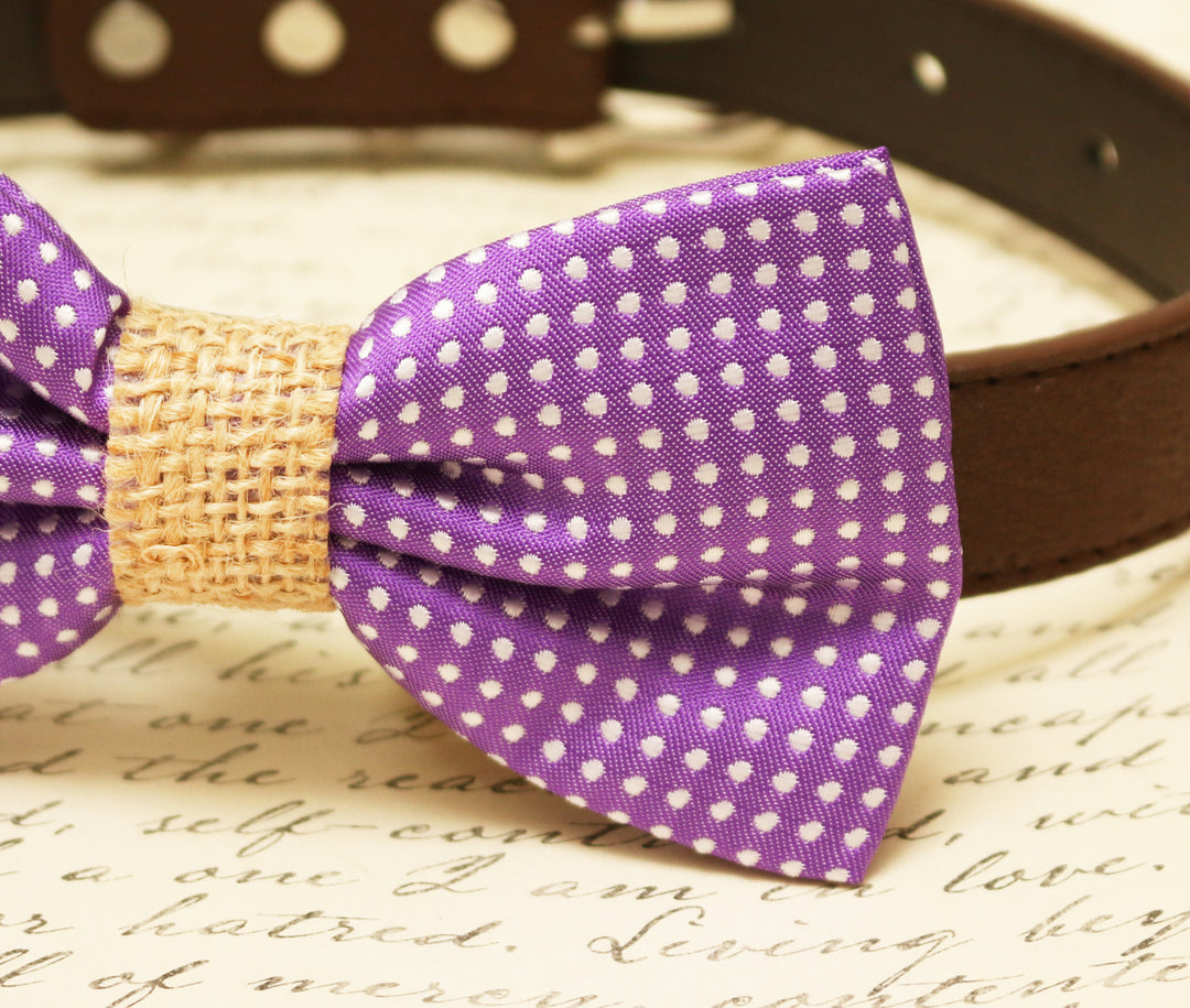 Purple Dog Bow Tie attached to collar, Country Rustic wedding, Burlap , Wedding dog collar