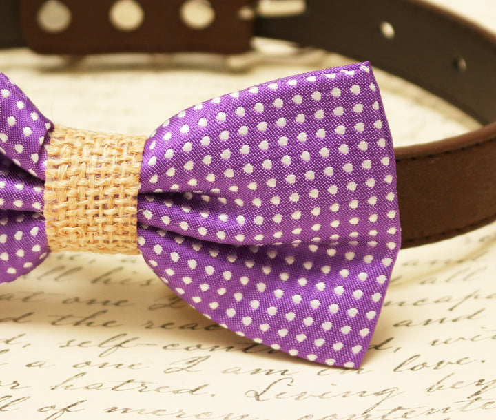 Purple Dog Bow Tie attached to collar, Country Rustic wedding, Burlap , Wedding dog collar