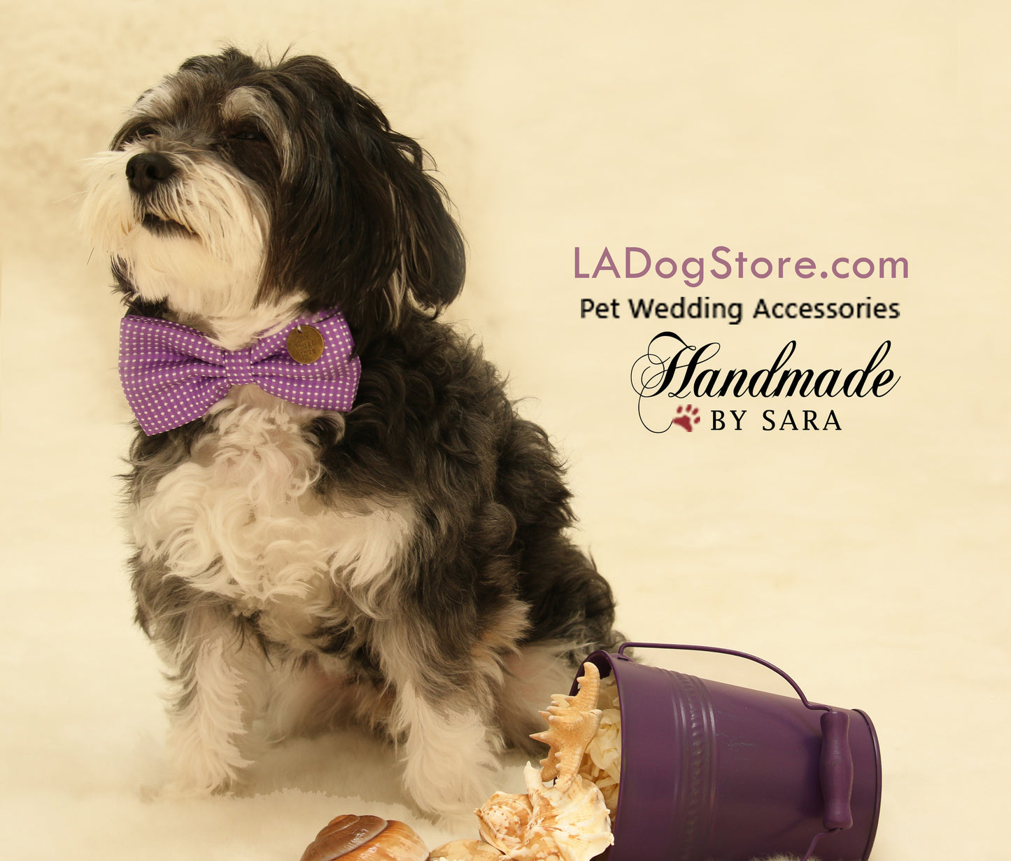 Purple Polka dots Dog Bow Tie collar, Purple wedding accessory , Wedding dog collar
