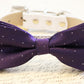 Purple Dog Bow Tie - Purple and Silver Wedding- Dog Bow tie attached to high quality leather, Pet wedding accessory - LA Dog Store  - 1
