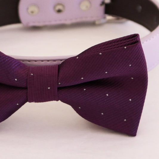 Purple bow tie collar XS to XXL collar and bow tie, adjustable, Puppy bow tie, handmade, Dog ring bearer ring bearer , Wedding dog collar