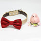 Red Dog Bow tie Collar, Charm (Key to my Heart), Pet wedding accessory , Wedding dog collar
