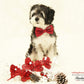 Red Dog Bow tie collar, Pet wedding accessory, Dog birthday gift , Wedding dog collar