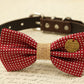 Red Dog Bow Tie attached to collar, Burlap wedding, Cat bow , Wedding dog collar