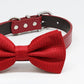 Red Dog Bow tie collar, Dog Lovers, Red Bow, Pet wedding Accessory, Love Red , Wedding dog collar
