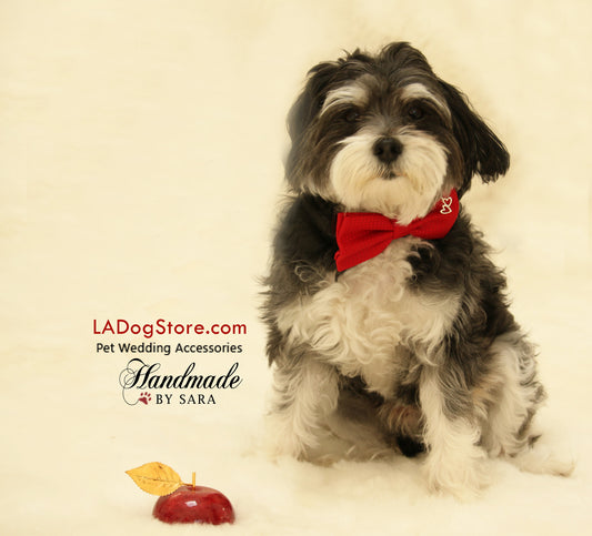 Red Dog Bow tie attached to collar, charm, Dog birthday gift, wedding accessory , Wedding dog collar