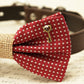 Red polka dots Dog Bow Tie attached to collar, Burlap, Red wedding, Cat , Wedding dog collar