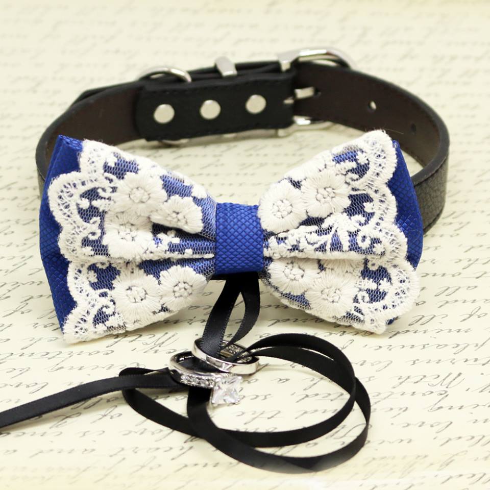 Royal Blue and Lace Dog Bow Tie Collar, Ring Bearer, Pet Wedding, Black Ribbon, Proposal , Wedding dog collar