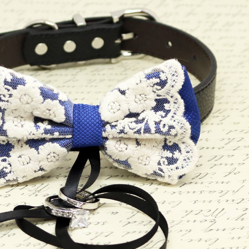 Royal Blue and Lace Dog Bow Tie Collar, Ring Bearer, Pet Wedding, Black Ribbon, Proposal , Wedding dog collar