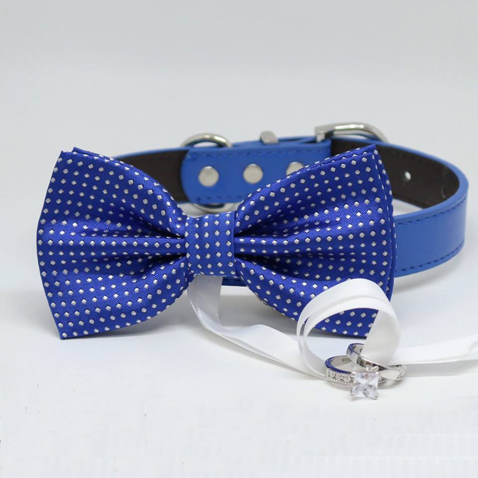 Royal Blue Dog Bow Tie ring bearer, Pet Wedding accessory, Marry Me, Proposal idea, Chic , Wedding dog collar