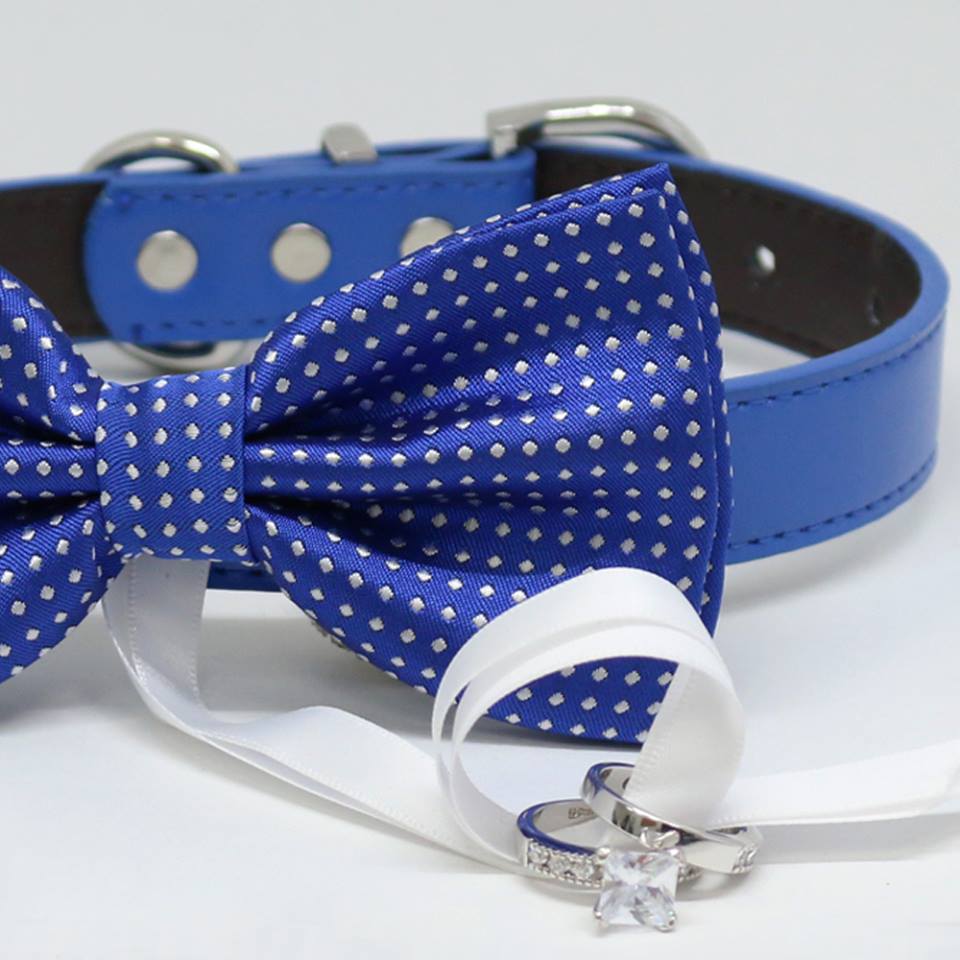 Royal Blue Dog Bow Tie ring bearer, Pet Wedding accessory, Marry Me, Proposal idea, Chic , Wedding dog collar