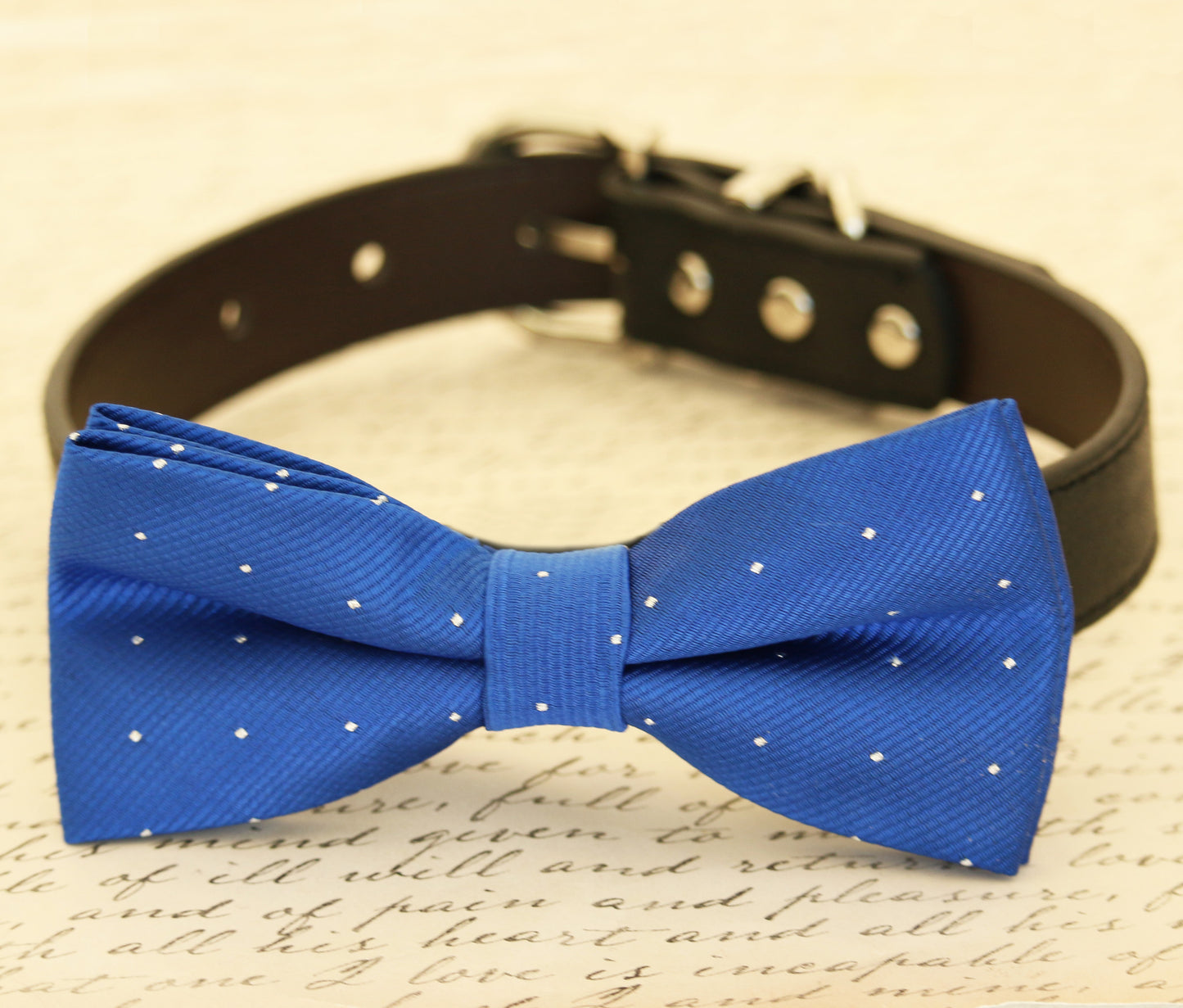 Royal Blue dog bow tie attached to collar, Pet wedding accessory, Dog lovers , Wedding dog collar