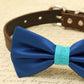 Royal blue Bow Tie attached to dog collar, pet wedding accessory, Burlap, Beach wedding , Wedding dog collar
