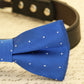 Royal Blue dog bow tie attached to collar, Pet wedding accessory , Wedding dog collar