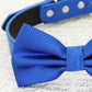 Royal blue dog Bow tie attached to collar, birthday gift, Beach wedding , Wedding dog collar