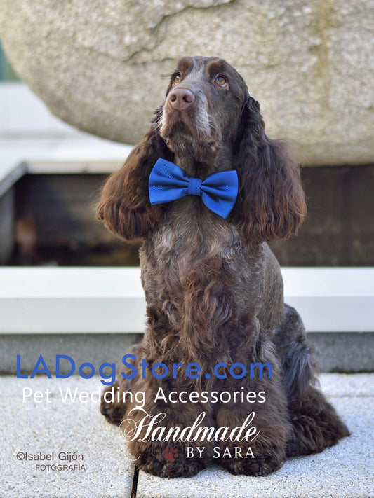 Royal blue bow tie collar XS to XXL collar and bow tie, adjustable Puppy bow tie, handmade boy dog collar, Dog ring bearer ring bearer , Wedding dog collar