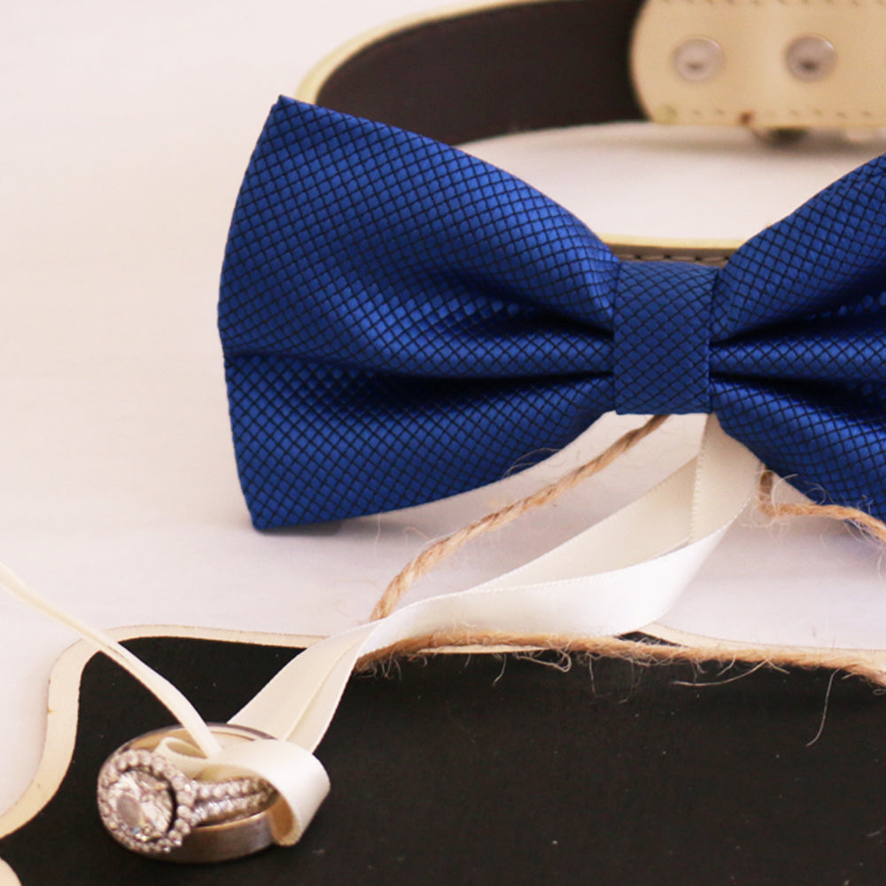 Royal blue  bow tie collar and Small Chalkboards Signs, Proposal, Bridal Sign, Dog Ring Bearer, Marry me, XS to XXL collar , Wedding dog collar