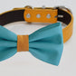 Scuba blue Orange bow tie collar, handmade Puppy bow tie, XS to XXL collar and bow adjustable Dog ring bearer ring bearer, Blue bow tie , Wedding dog collar