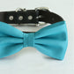 Scuba blue bow tie collar XS to XXL collar and bow tie, adjustable, Puppy bow tie, handmade, Dog ring bearer ring bearer, Blue bow tie collar , Wedding dog collar