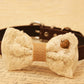 White Dog Bow Tie attached to collar, Pet wedding, Lace bow tie, Charm , Wedding dog collar